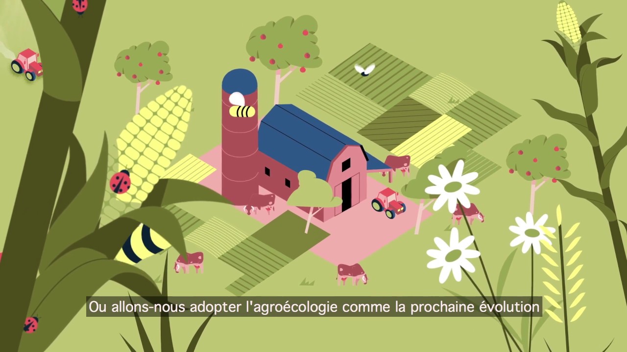 Qu'est-ce que l'agroécologie?