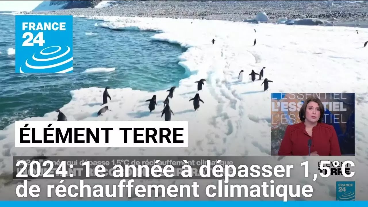 L'année 2024 sera la première à dépasser 1,5°C de réchauffement planétaire • FRANCE 24