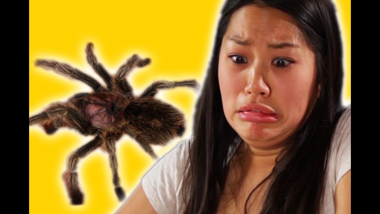 Arachnophobes Meet Spiders