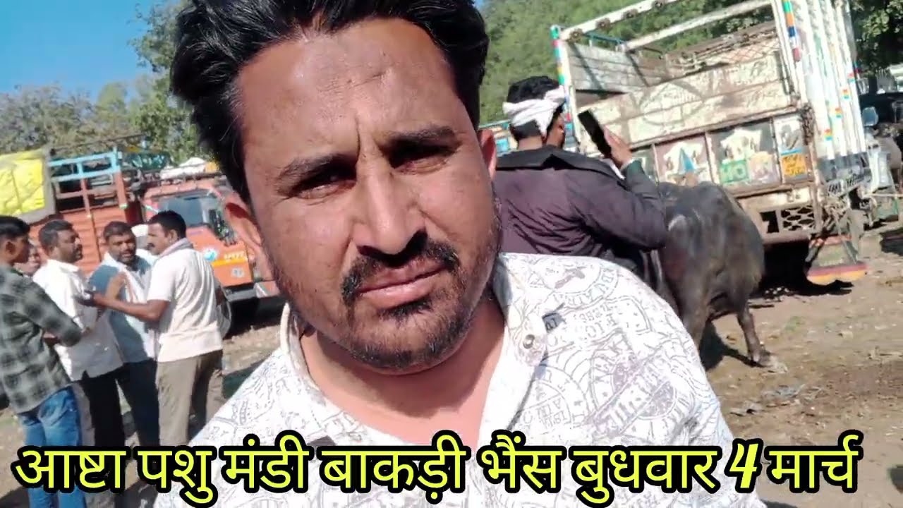 आज देखिए बाकड़ी भैंस आष्टा में 4 मार्च बुधवार 2026