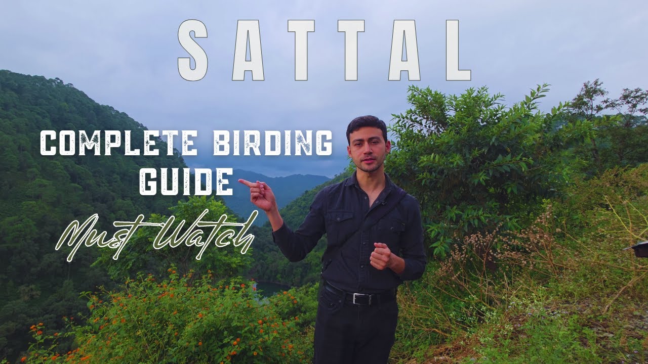 Sattal Birding Guide, Birdwatching-Birdphotography Tips, Species List, Best Season,Top Birding Spots