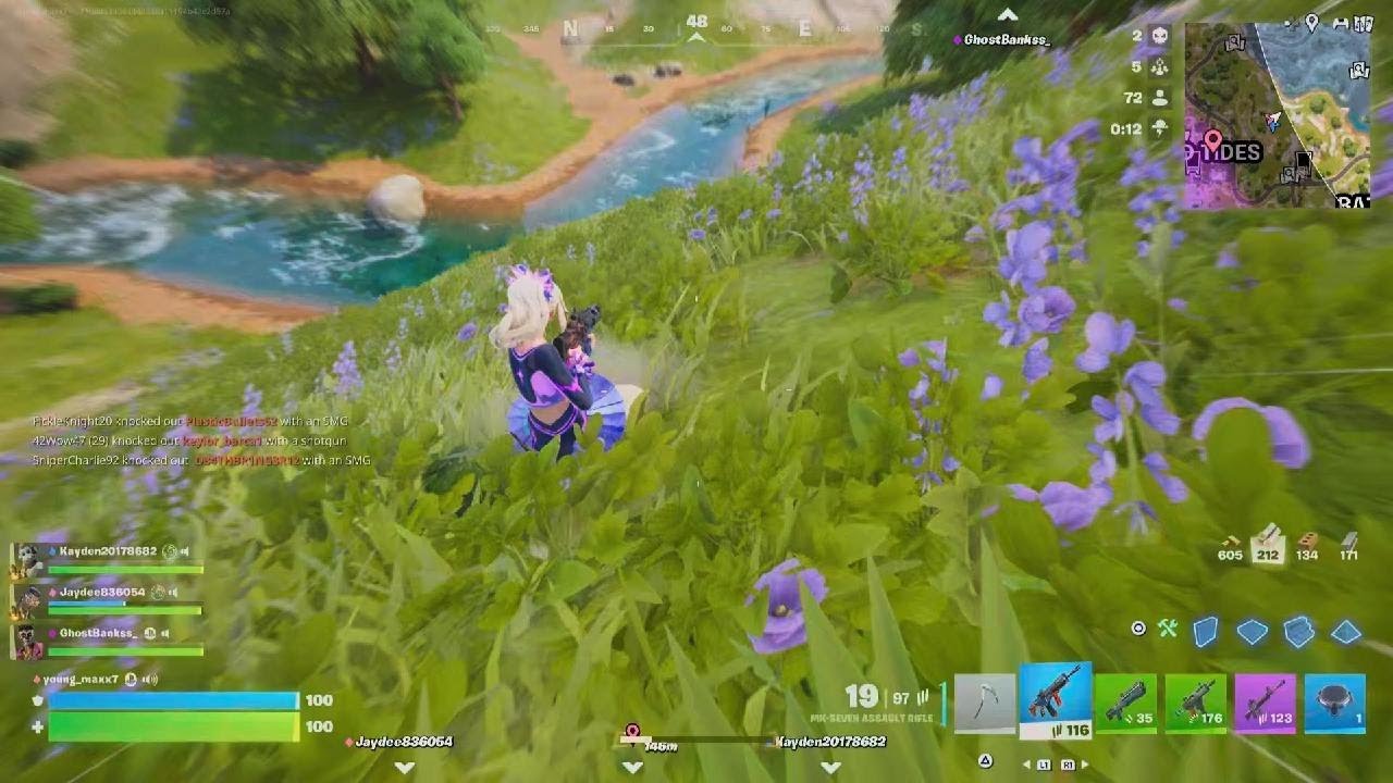 Clips