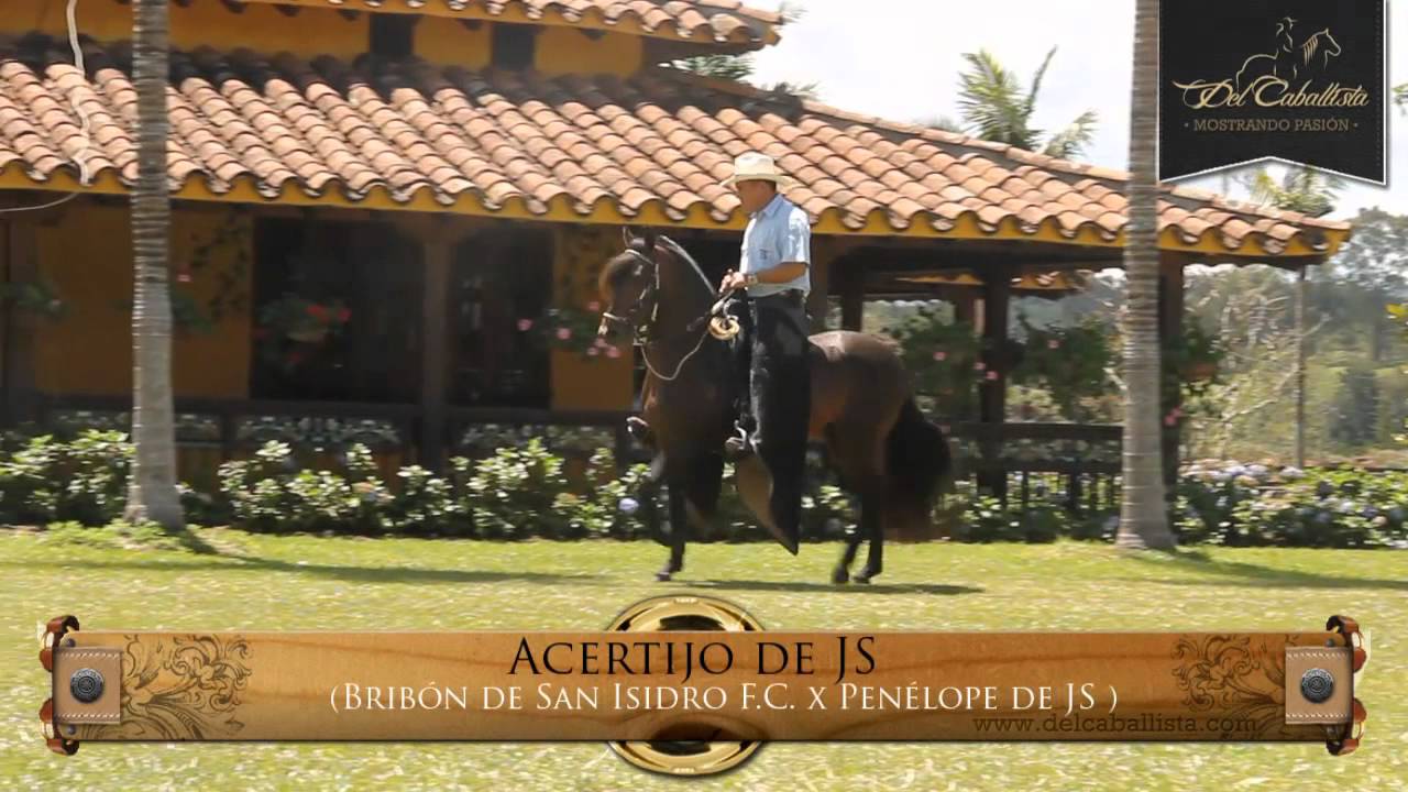 Criadero JS - Muestra Ejemplares / www.delcaballista.com