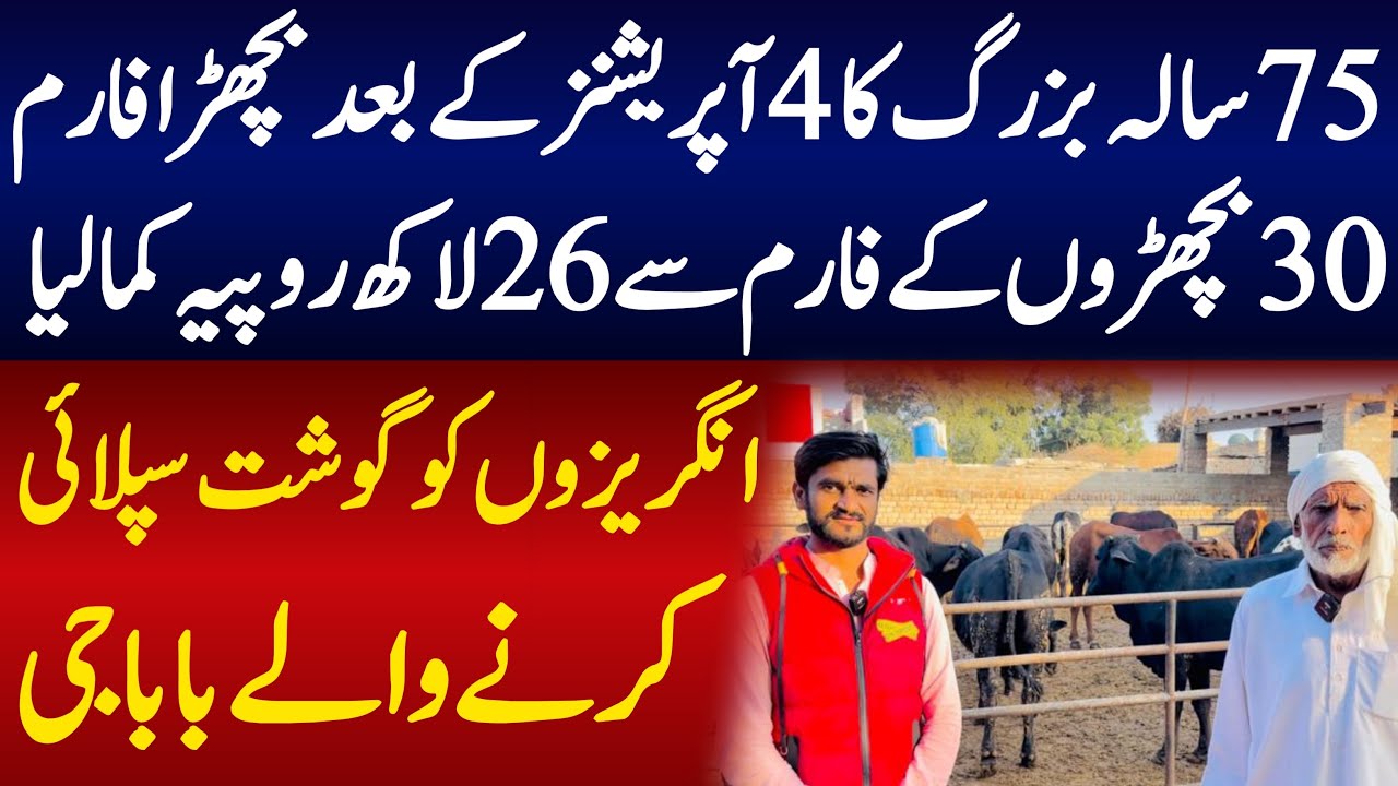 Business ideas of Bachra Farming In pakistan