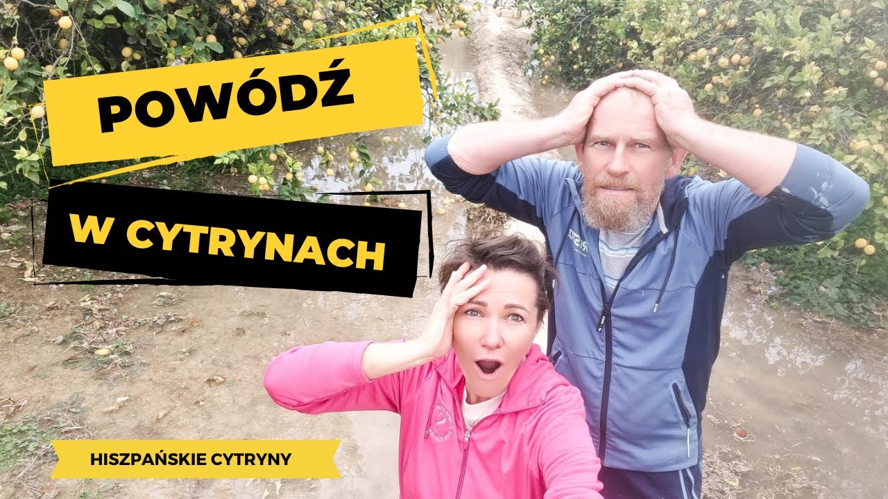 #27 POWÓDŹ W CYTRYNACH