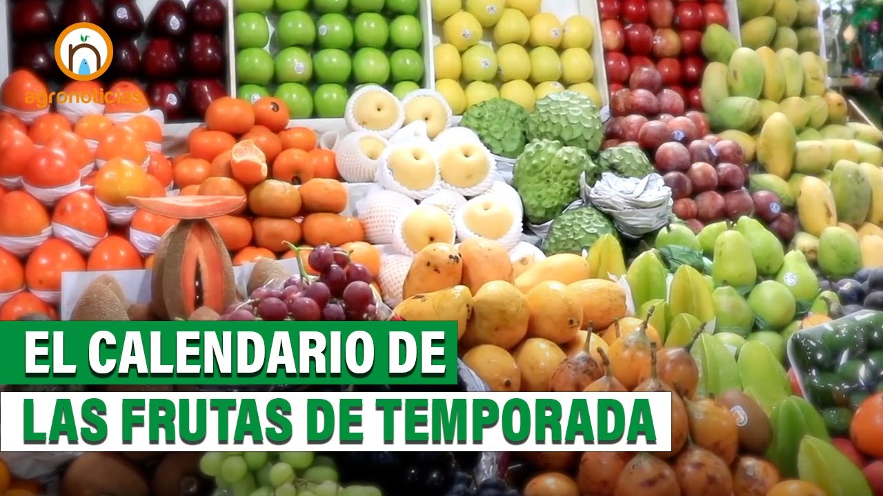 Conoce el calendario de frutas de temporada