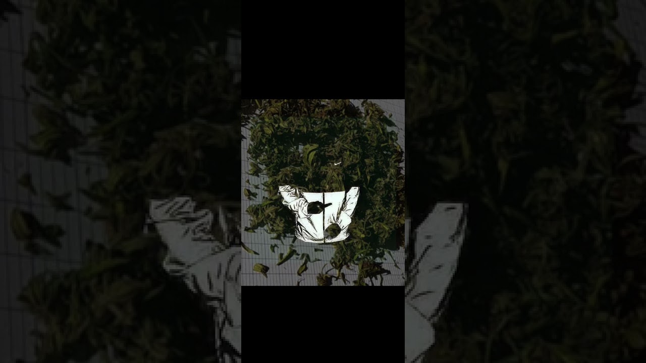 Melo de SDM -Titulaire- xrcuu_prdz kayasspliif