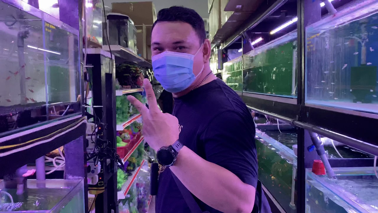 Vlog Hobi | SA Fish World S15 Shah Alam | Kedai Aquatic |