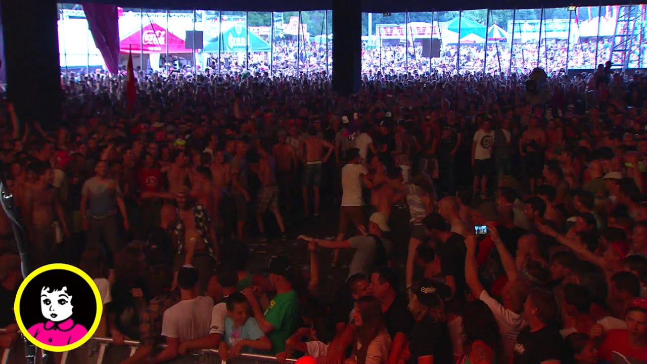 FIDDLER'S GREEN - Live at PINKPOP 2015 [Full Concert]