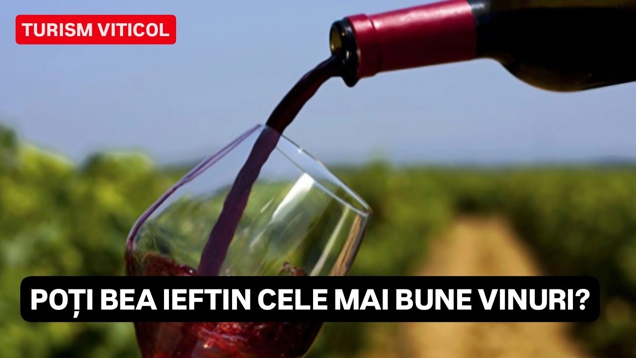 Cum poți BEA CELE MAI BUNE VINURI IEFTIN? - Turism Viticol la cele mai BUNE CRAME din ROMÂNIA