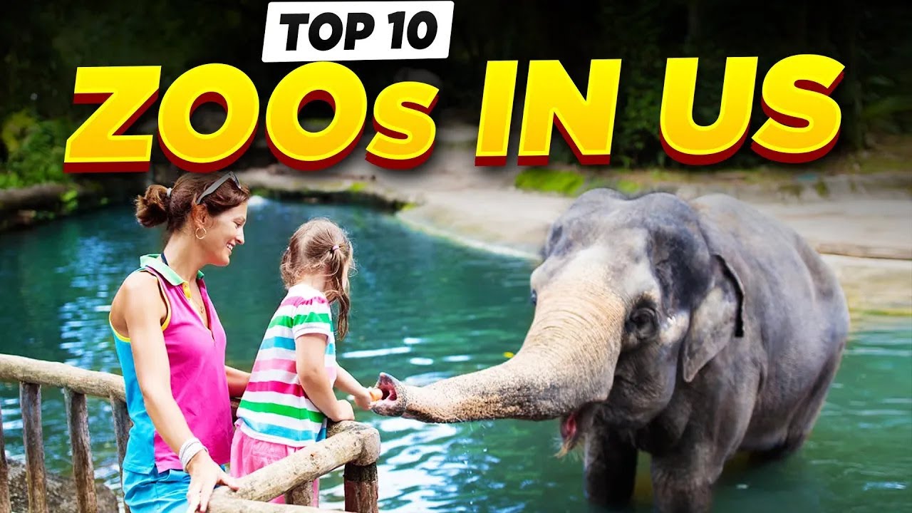 Top 10 List of the Best Zoo's in United States! (Most Visit)