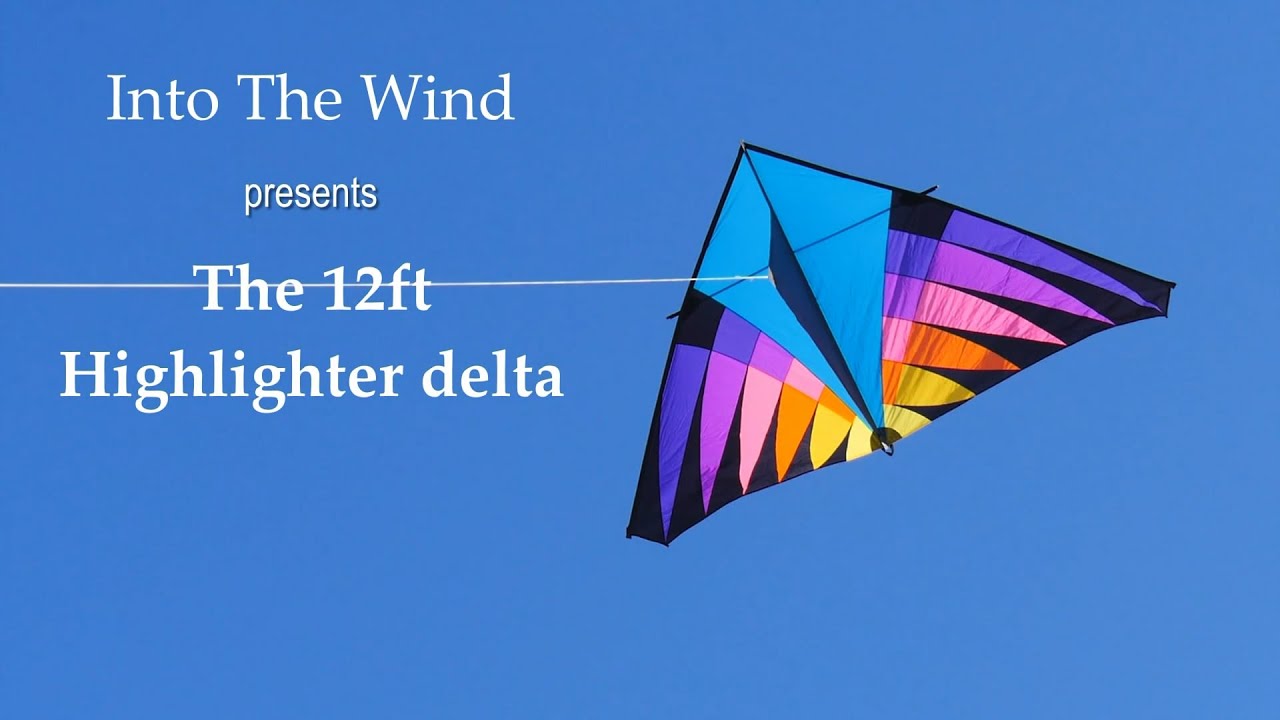 Into The Wind 12ft Highlighter Delta Kite
