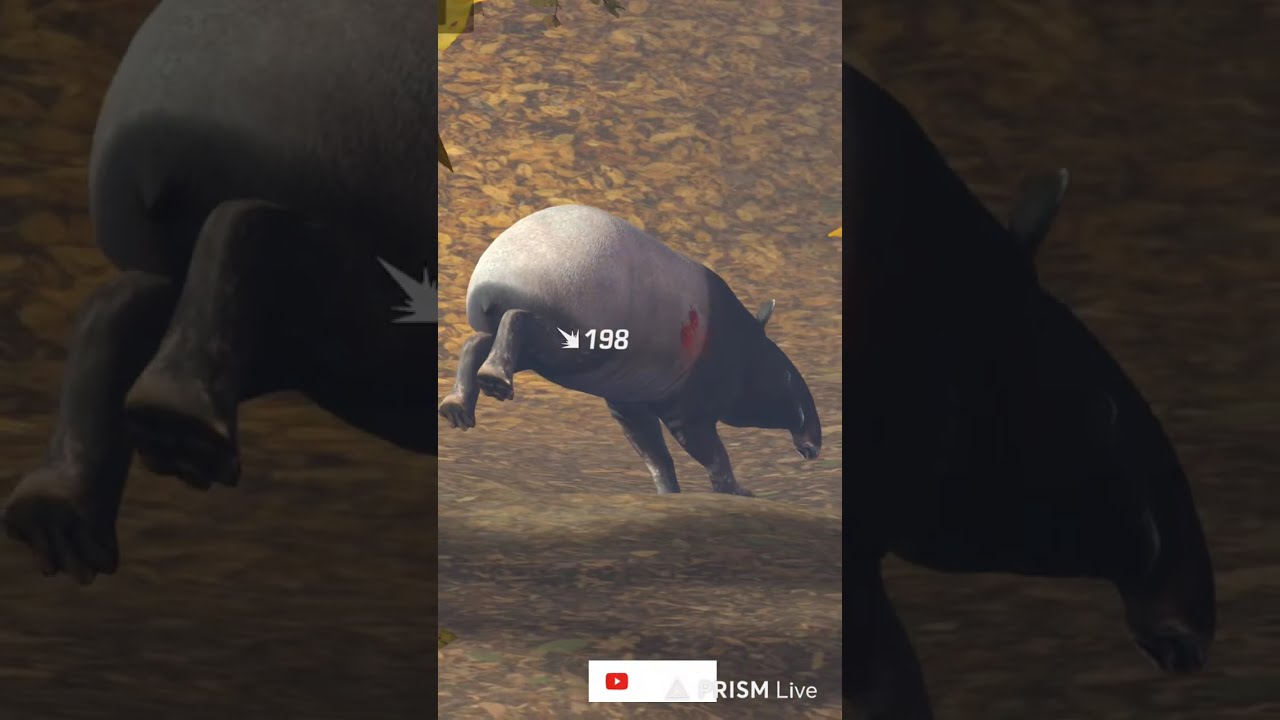 Live streaming of godxgokuu is live