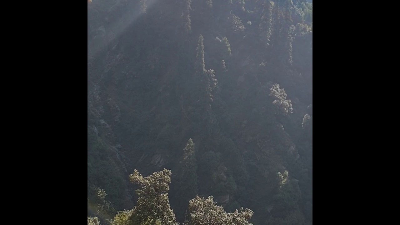 ##KARERI LAKE - DHARMASHALA- HEAVEN FOR TREKKING LOVERS