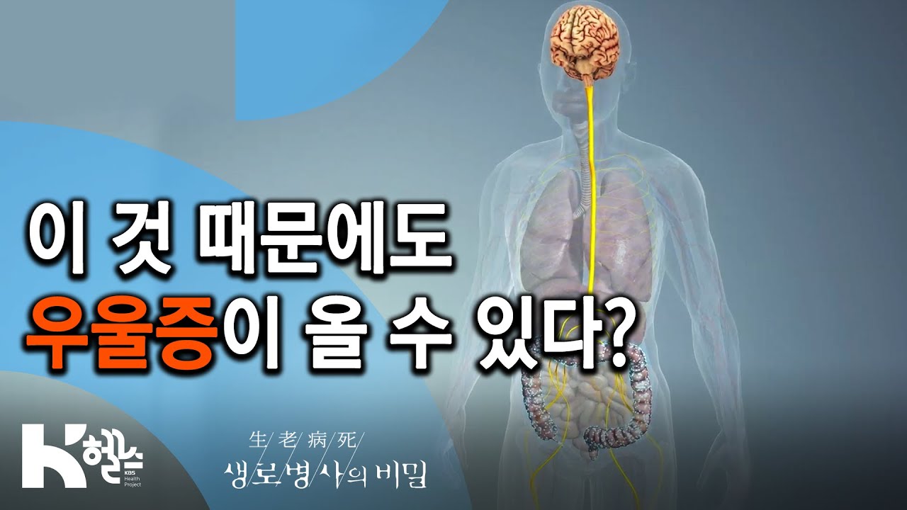 장내 미생물과 우울증😔 - 718회(19.12.11) 죽을 똥? 살 똥? 장내 미생물의 비밀