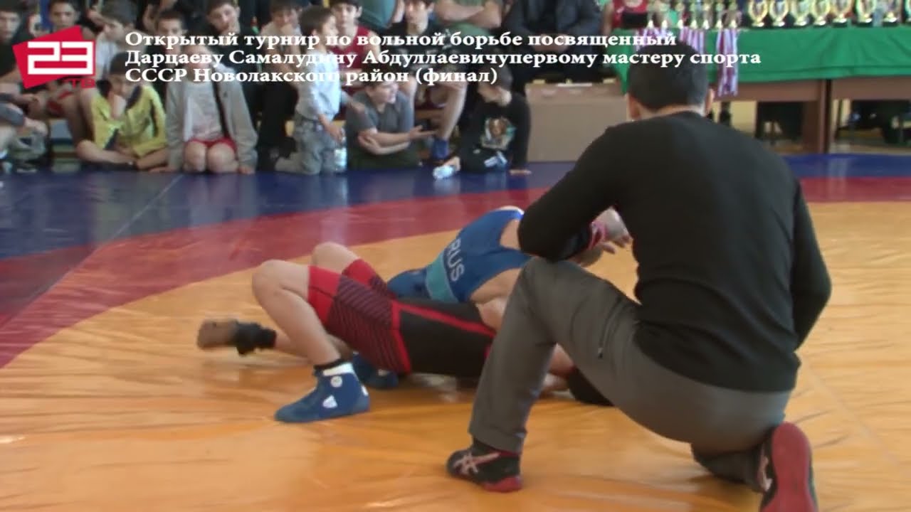 Турнир имени Дарцаева