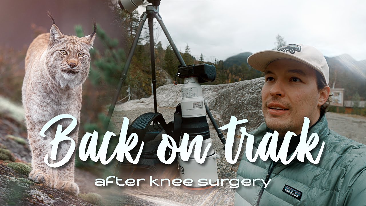 Knee Surgery Recovery Didn&rsquo;t Stop Me | Wildlife Filming in Norway
