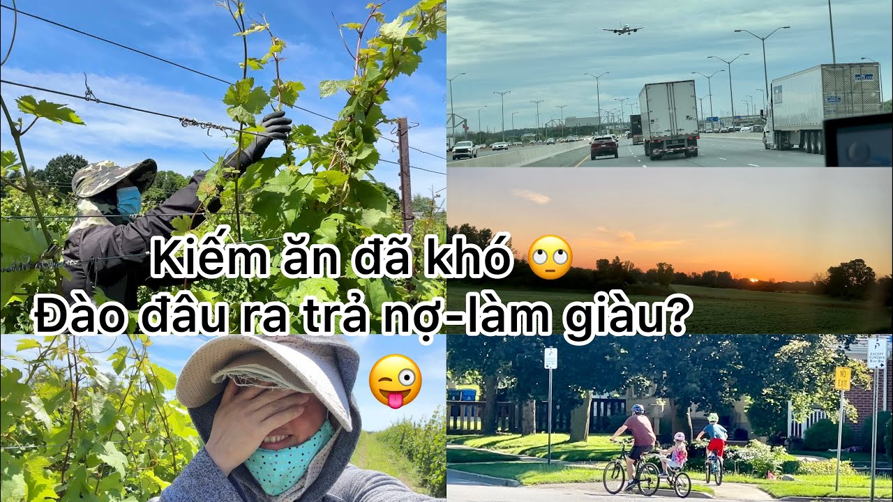 Cùng Đi Thực Tế 