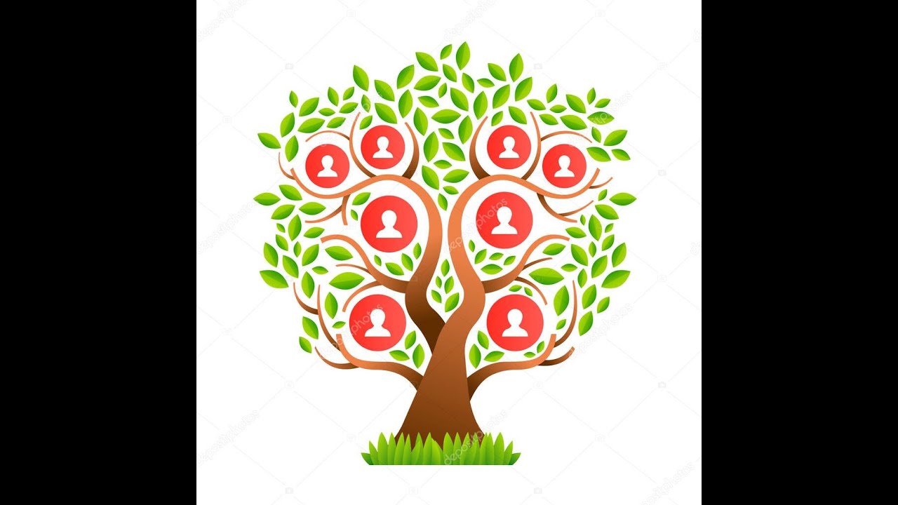 L'albero genealogico della "mela" cresce sul monte di Venere (1)