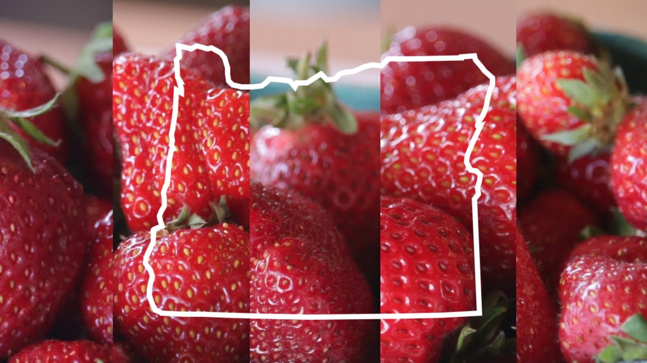 5 types of Oregon-grown strawberries: Taste Test