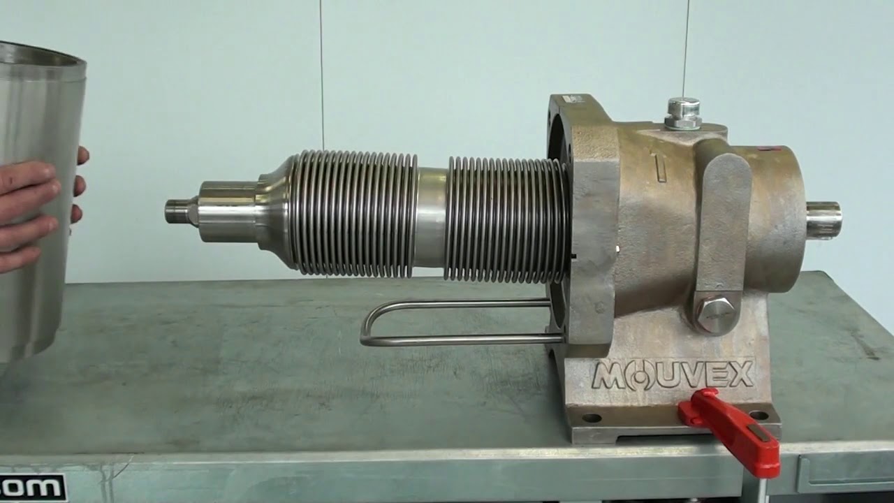 Maintenance for Mouvex SLS Series Eccentric Disc Pumps