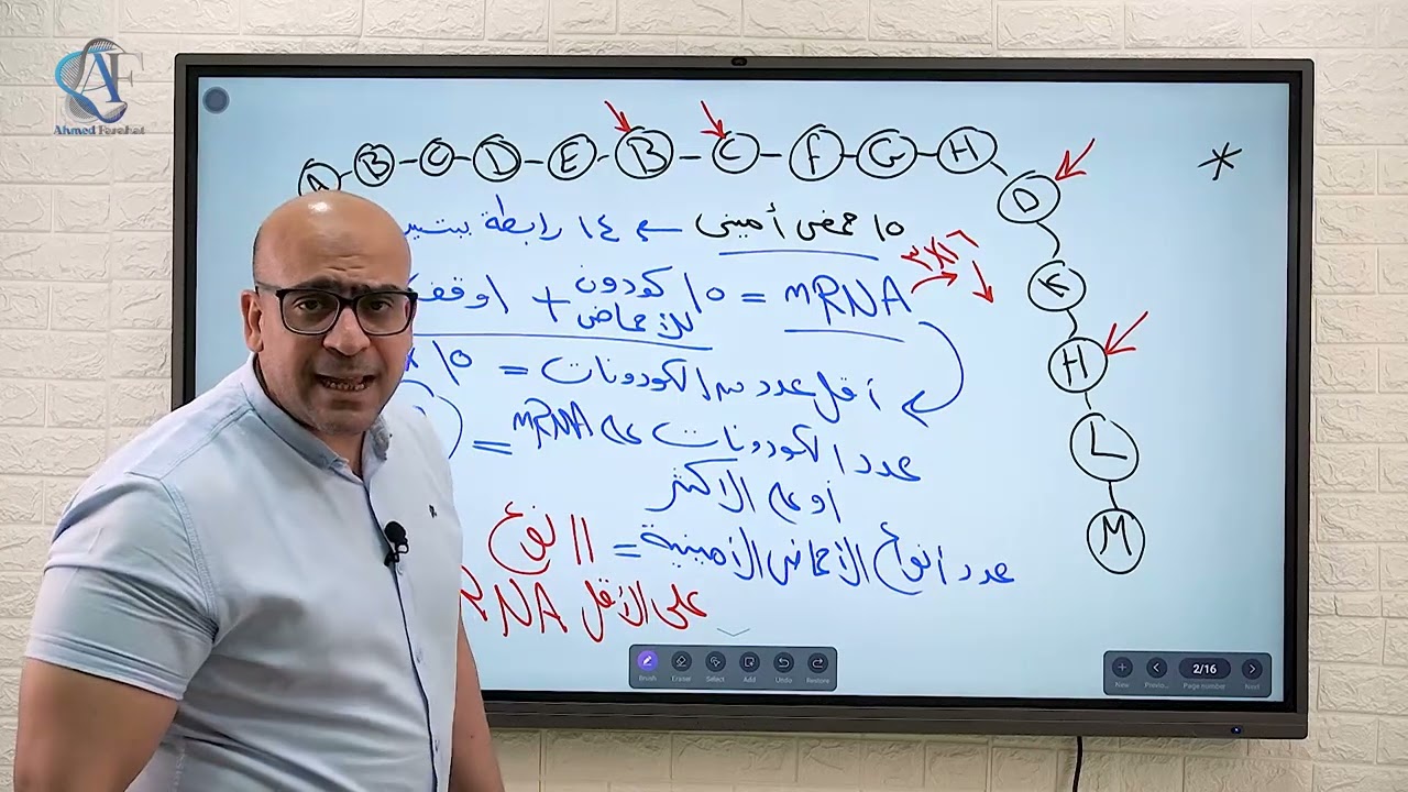 الجزء الثاني من RNA وشرح عمليةتخليق البروتين مع تجميعة أسئلة مستويات عليا من كتاب الدليل مع د فرحات