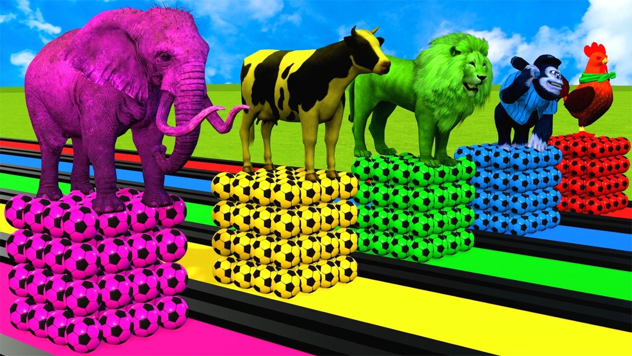 Long Slide Game With Cow Elephant Gorilla Hippopotamus Tiger 3d Animal Game Funny 3d Animals