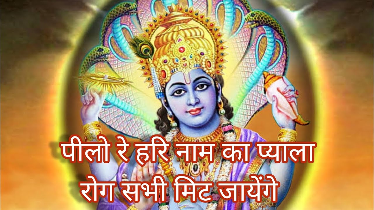 🌹🌹पीलो रे हरि नाम का प्याला, रोग सभी मिट जायेंगे 🌹🌹🙏🙏🙏राधे राधे.