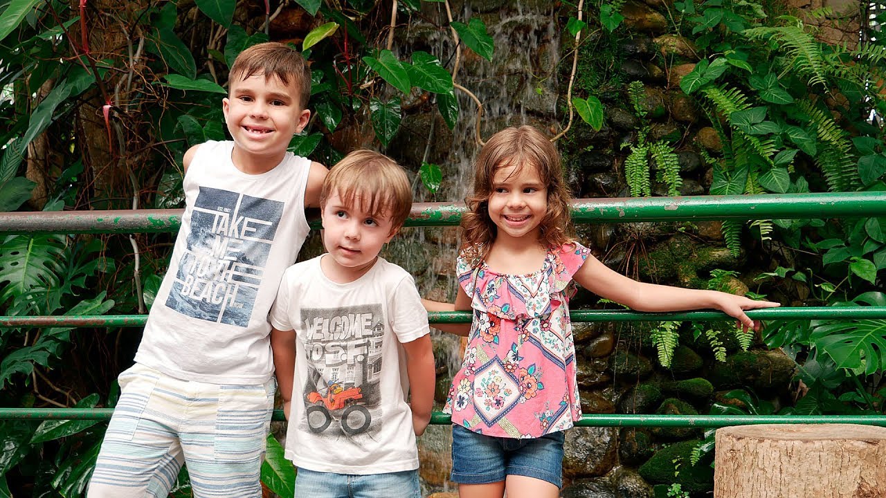 ZOOLÓGICO COM OS PRIMOS!! Maikito no Parque Zoobotânico Orquidário - Daily Vlog Familia Brancoala