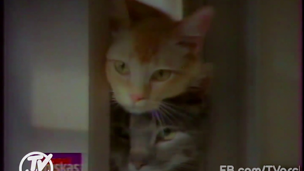 LTV reklamos 1993m