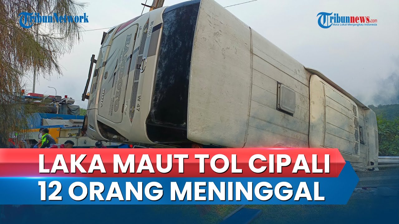 Kecelakaan Maut Bus di Tol Cipali 12 Orang Meninggal Dunia, Kronologi Diungkap Sopir yang Selamat