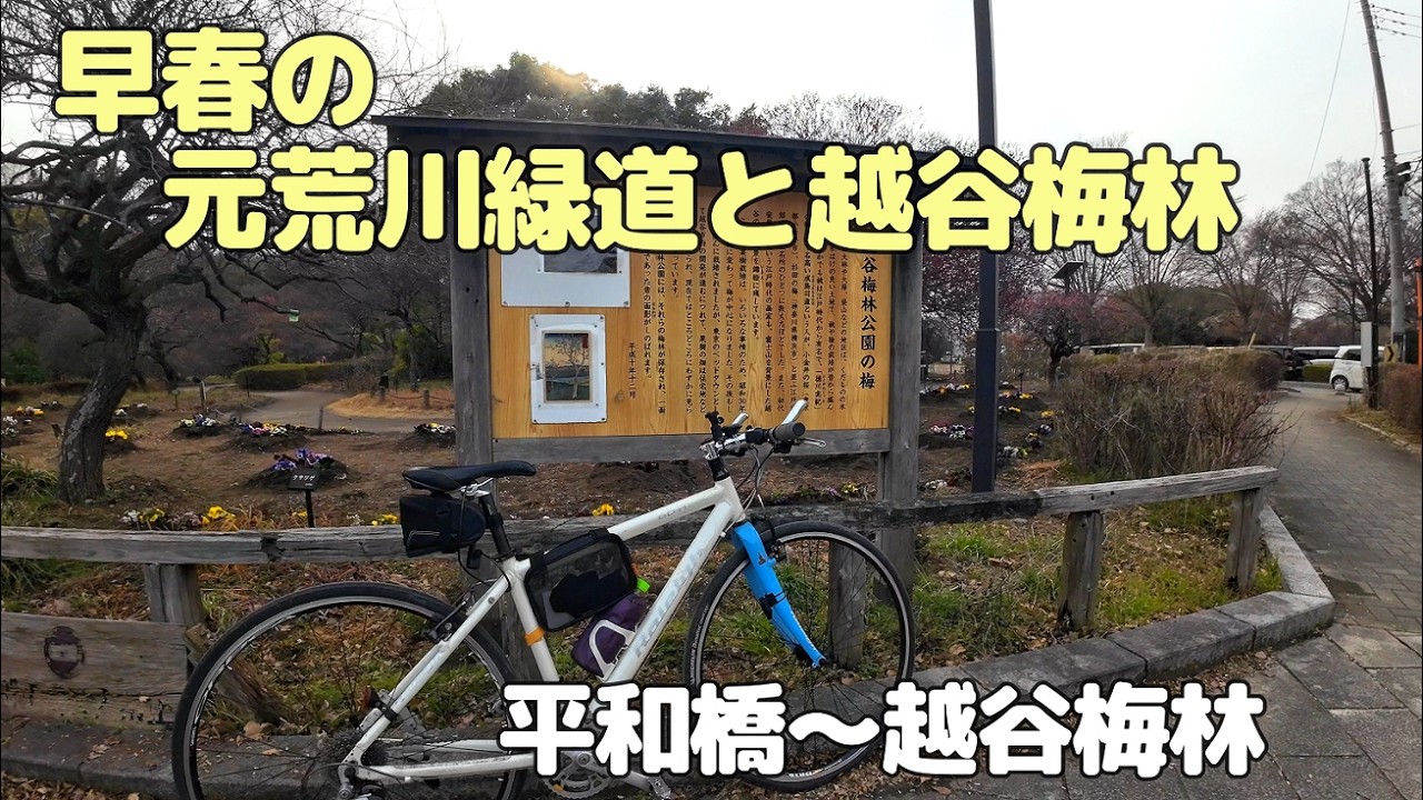 元荒川緑道と越谷梅林　平和橋～越谷梅林　（20260214）