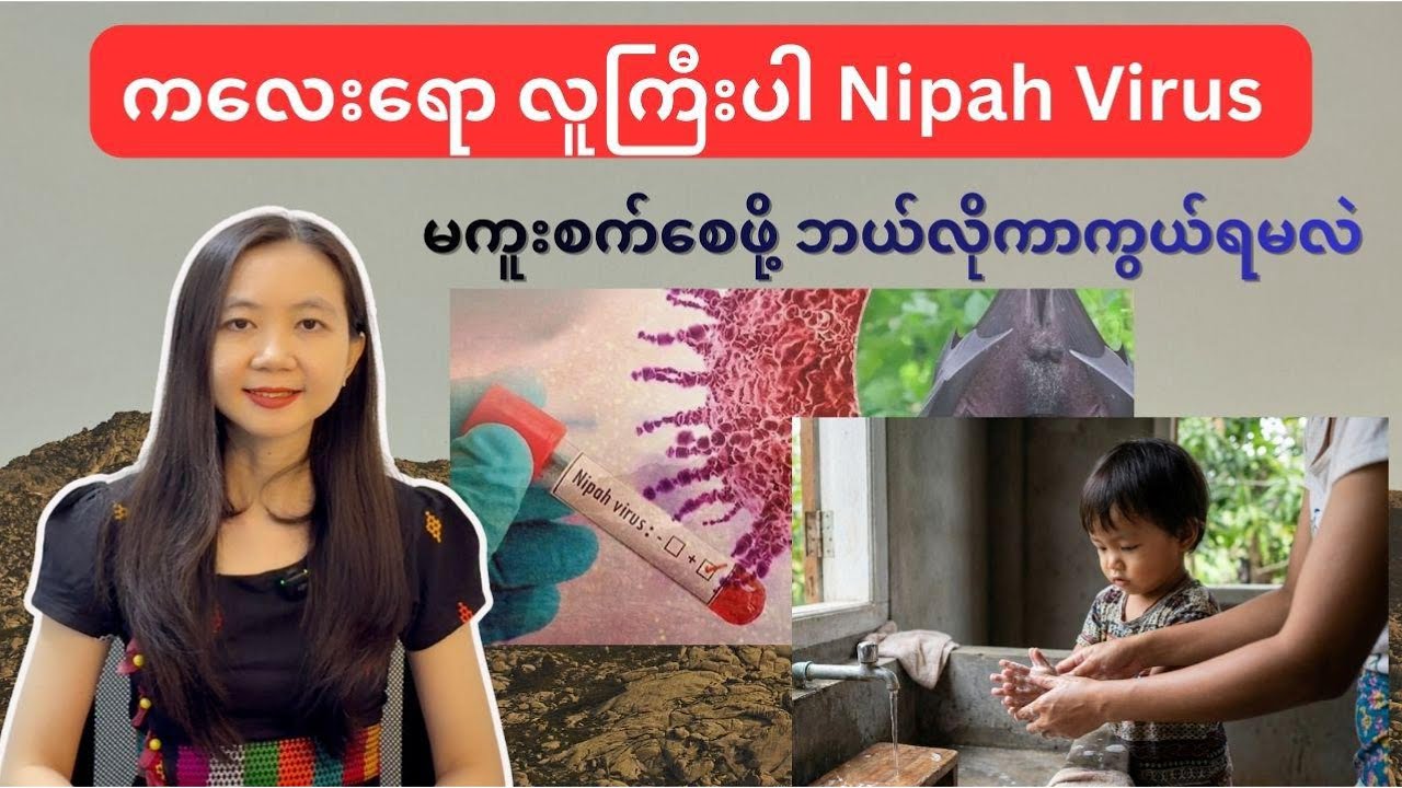 ကလေးရောလူကြီးပါ Nipah Virus မကူးစက်စေဖို့ဘယ်လိုကာကွယ်ရမလဲ | Nipah Virus | By Dr. Lwin