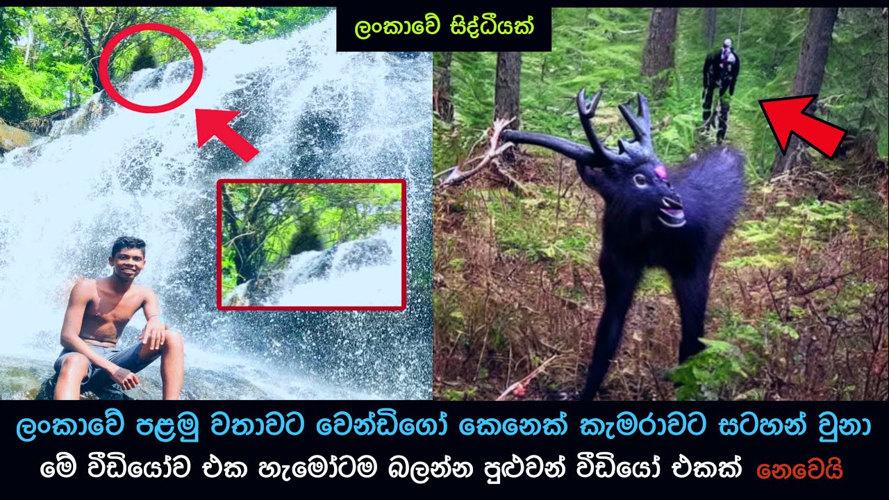 යාය 001 ප්&zwj;රදේශයෙන් විලාප ශබ්ද ඇහෙන්න ගන්නවා, YaYa 001 Episode 1 / Palmada / Kazzai Aliens #horror