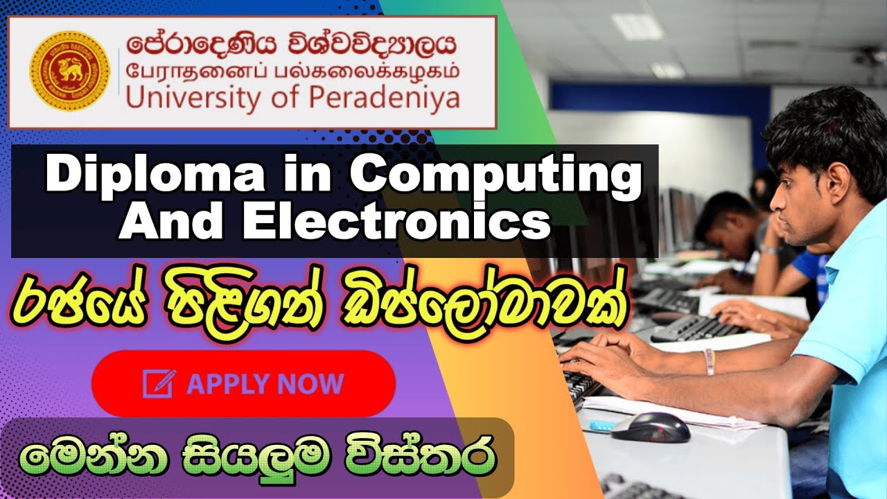 ඔබටත් රජයේ පිලිගත් ඩිප්ලෝමාවක් I Diploma In Computing and Electronics I diploma 2024