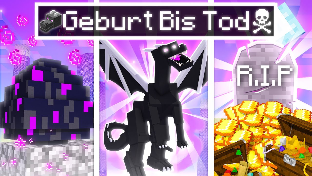 Das LEBEN eines ENDERDRACHEN! ✿ Minecraft