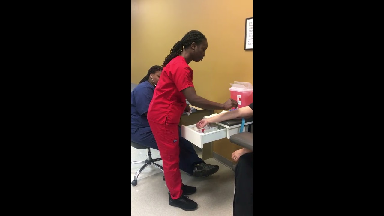 Phlebotomy Technician Student Drawing Blood