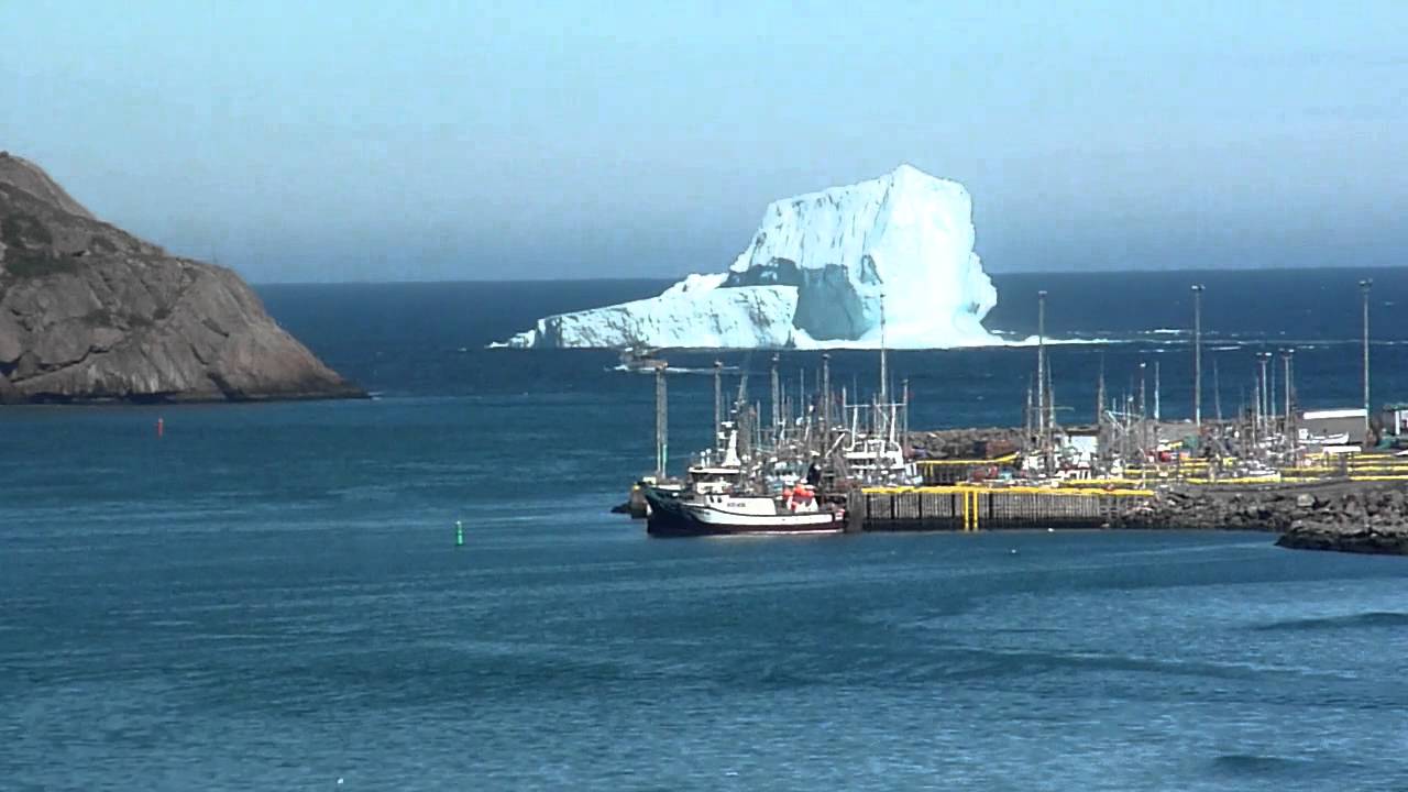 Iceberg outside St. John's Harbour