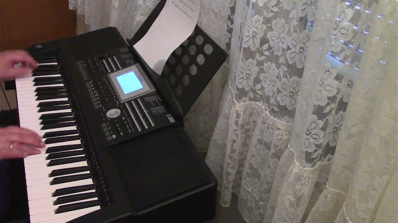 Sound Of Silence Live gespielt auf Fame G 3000
