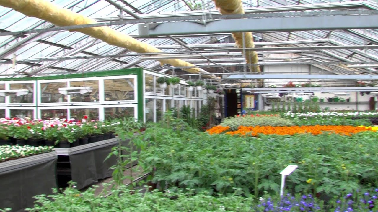 Imagefilm über das Krelinger Rehazentrum