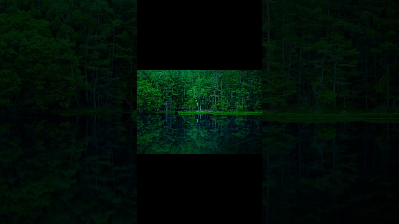 【撮影:Ryota】ミラーレスで撮影しました！ #rkphoto #一眼レフ #カメラ #写真の撮り方