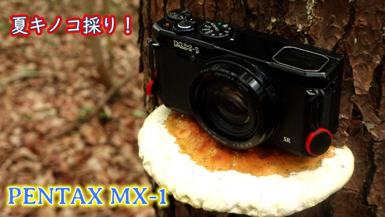 【夏キノコ採り】最強コンデジPENTAX MX-1で静止画を撮影！