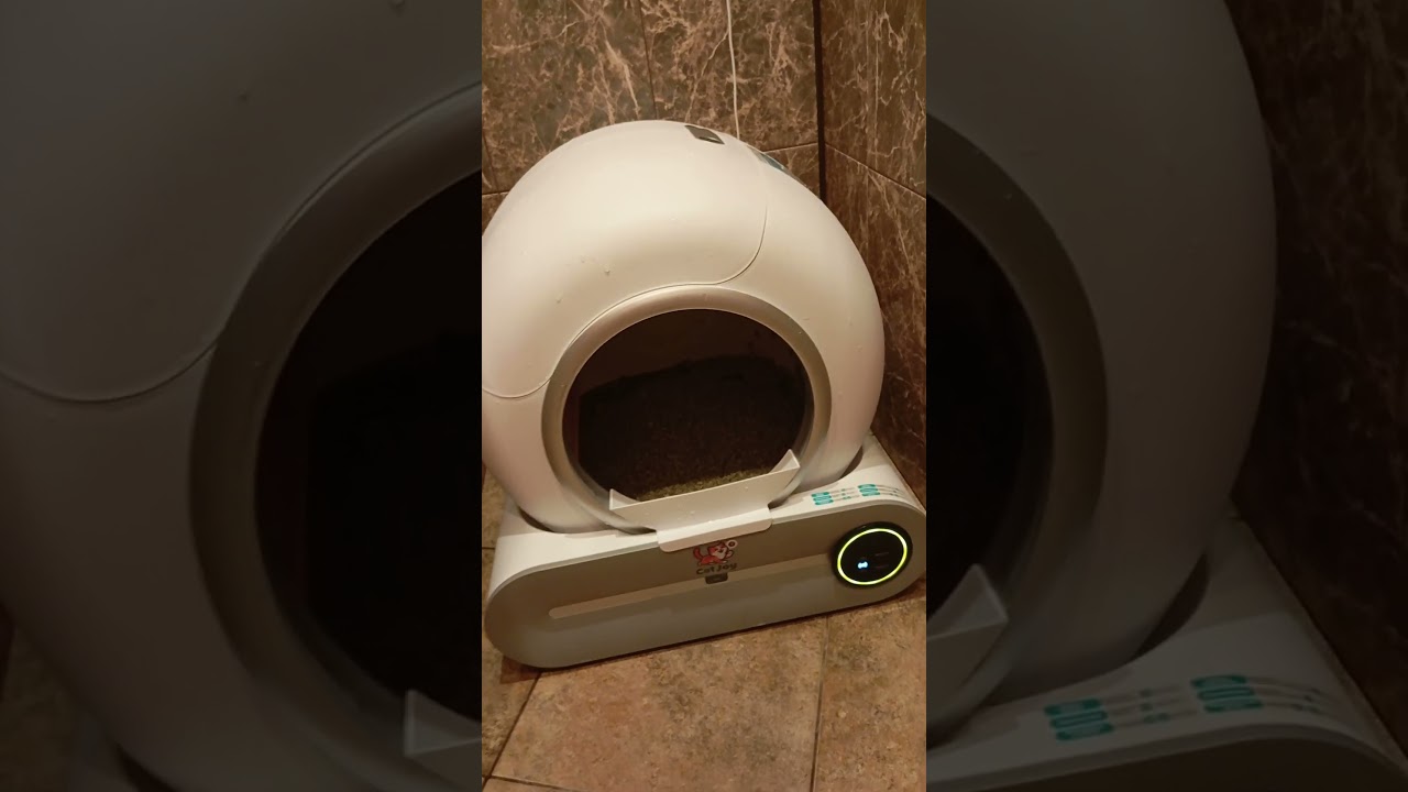 Автоматический туалет лоток для кошек японский #catjoy #cat