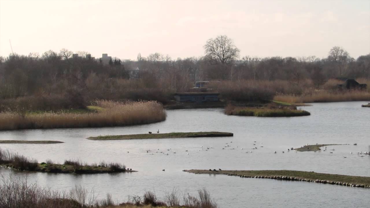 Wildfowl & Wetlands Trust - London Wetland Centre
