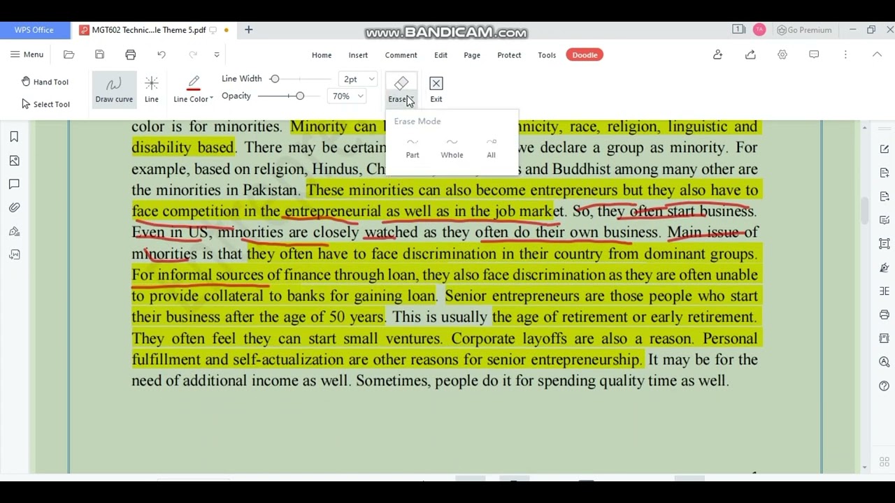 mgt602 Entrepreneurship theme no 5 conceptual/highlighted handouts