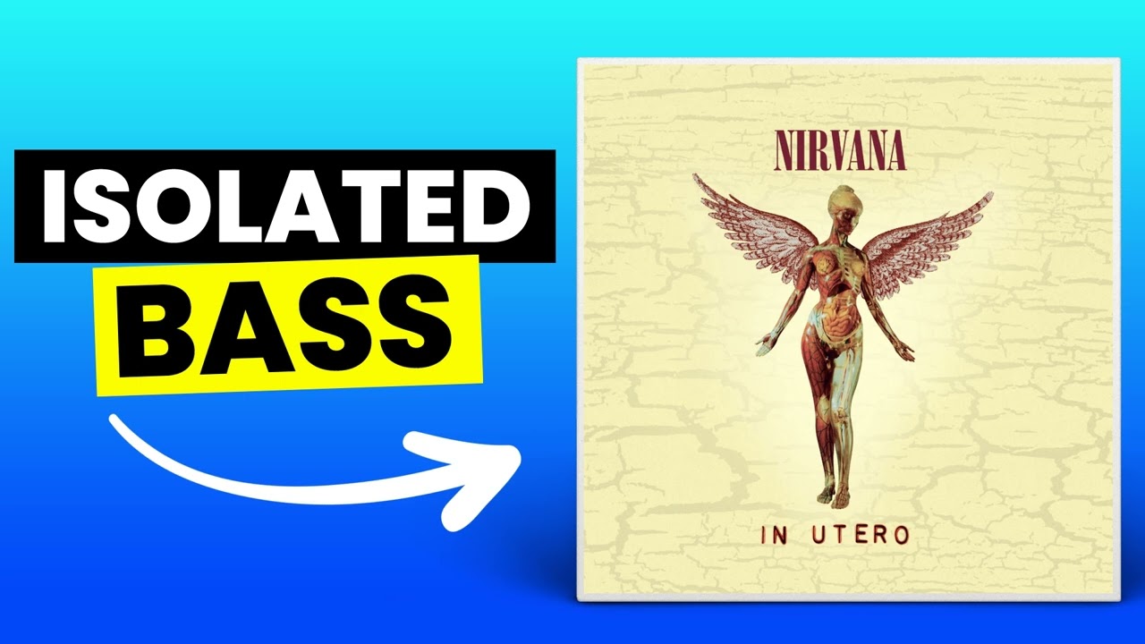 Serve The Servants - Nirvana | Only Bass (Isolated)