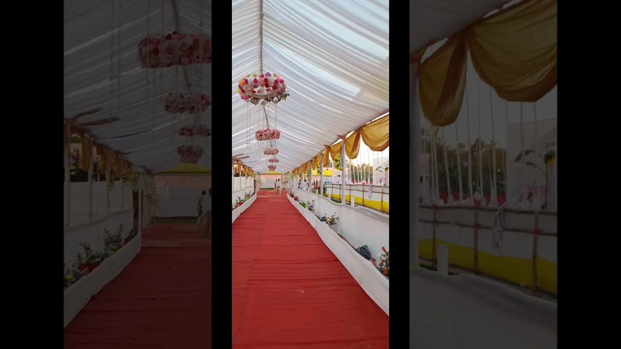 moha palnam 🥰🥰 #shors #new #nripensivasagar