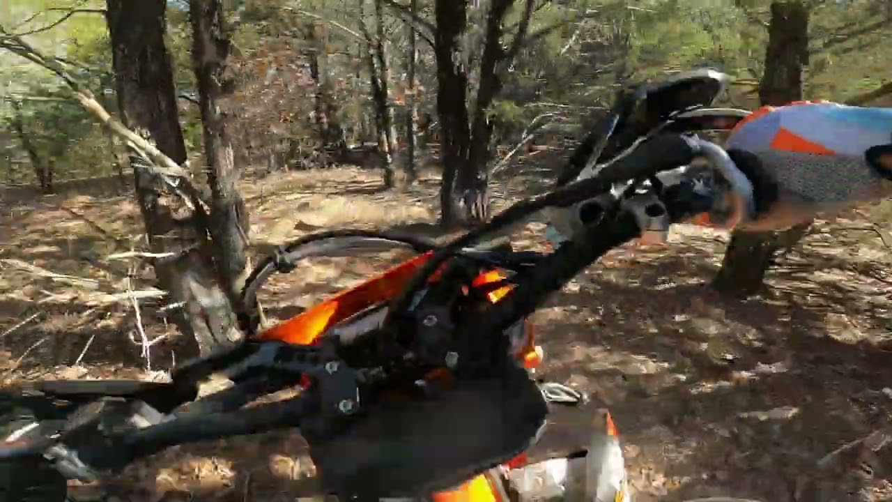 Bill's Woods at Red River Motorcycle Trails - Feb 2024