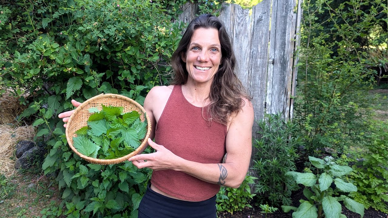 Simple Country Living | Eating Nettles & Deer Fence Repair