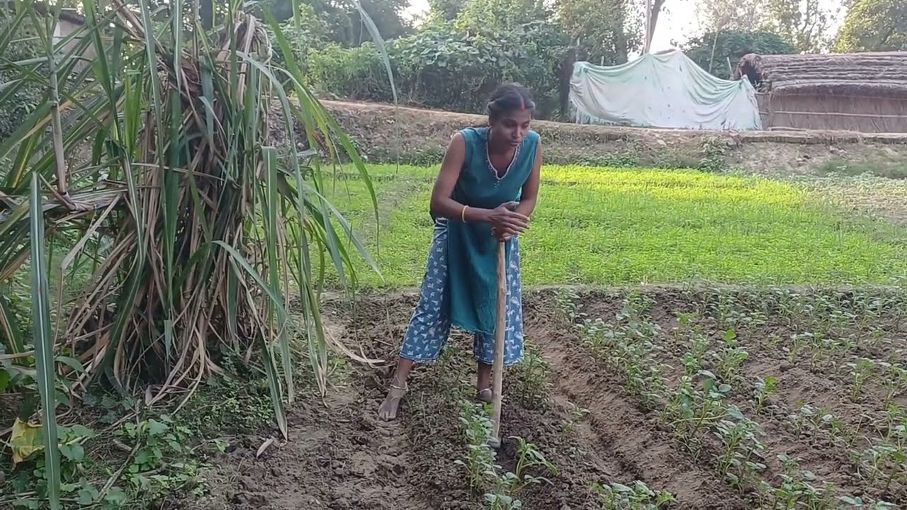 दोस्तों इस वीडियो को बच्चे ना देखें और अकेले में ही देखें